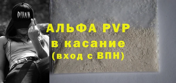 прущий лед Богданович