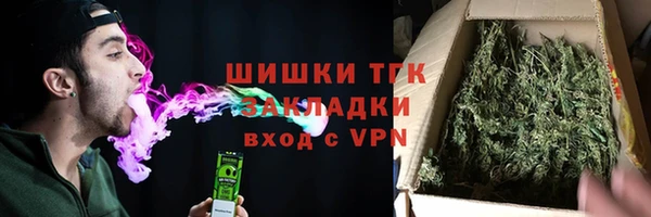 сатива Богородицк