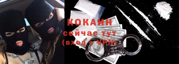 сатива Богородицк