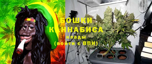 сатива Богородицк