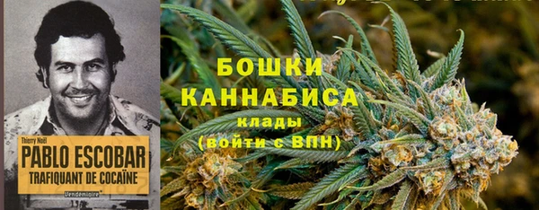 сатива Богородицк