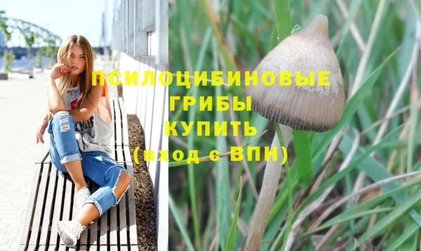 ГАЛЛЮЦИНОГЕННЫЕ ГРИБЫ Богородск