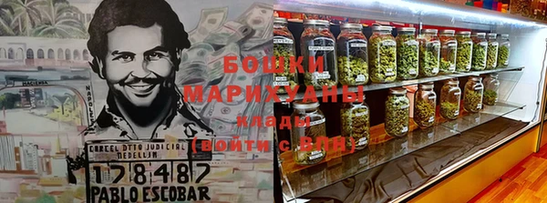 ГАЛЛЮЦИНОГЕННЫЕ ГРИБЫ Богородск