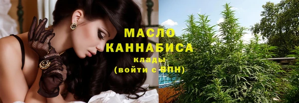 прущий лед Богданович