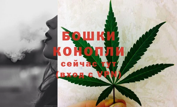 прущий лед Богданович