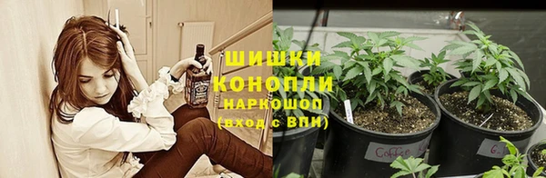прущий лед Богданович