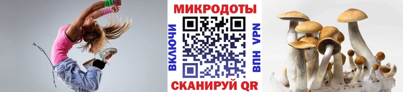 Псилоцибиновые грибы прущие грибы  hydra ссылки  Одинцово  дарнет шоп 